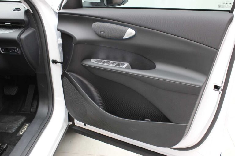 2026 LEPAS L6 PANTERA 1